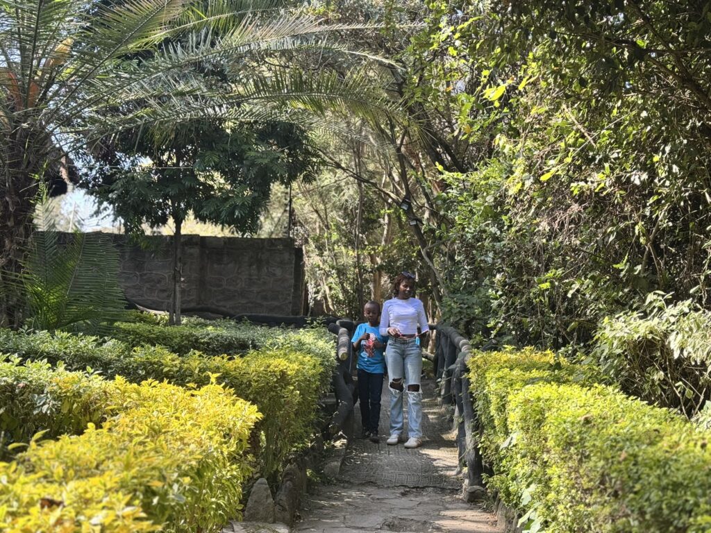 Naivasha staycation cost - Dove Nest lodge grounds